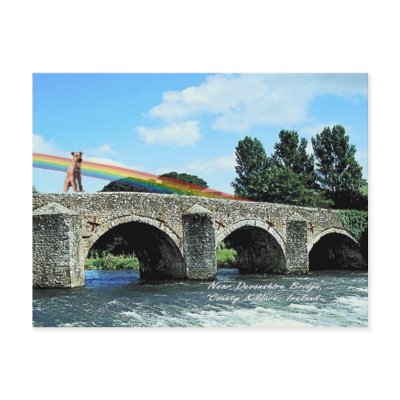 4. Stone Bridge Crossing River  Kildare Ireland Postcard by 4westies