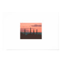4 trees & sunset posters