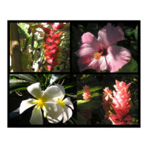 4 Tropical Flowers 4 Enchantment Poster Prints by naturalilly 4 Tropical Flowers 4 Enchantment Poster Prints