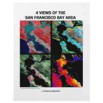 4 Views Of The Bay Area (Satellite Imagery) Flyer Design