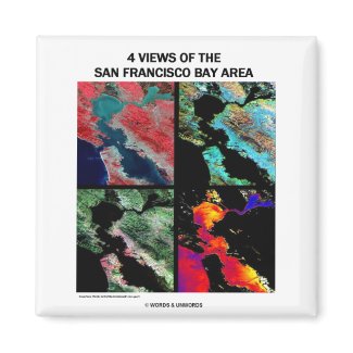 4 Views Of The Bay Area (Satellite Imagery) magnet