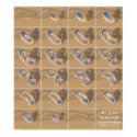 4D torus fly-through cross-section posters by Mike40033 4D torus fly-through cross-section posters