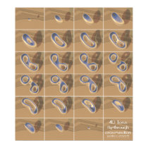 4D torus fly-through cross-section posters
