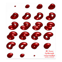 4d torus fly-through cross-section posters