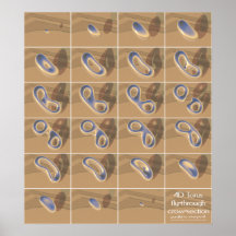 4D torus fly-through cross-section Posters