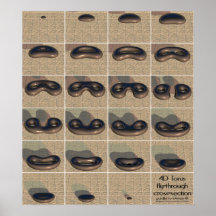 4D torus fly-through cross-section Posters
