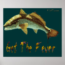 4Ft. Redfish fever Poster by FishTs.com posters