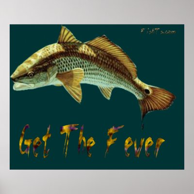 4Ft. Redfish fever Poster by FishTs.com by FishTsdotcom