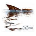 4ft Reflections of Redfish Poster posters