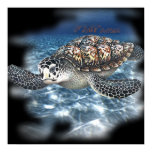 4ft. SeaTurtle Poster