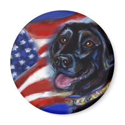 4th of july blk labrador magnets by zadajeanne