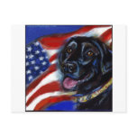 4th of july blk labrador post cards