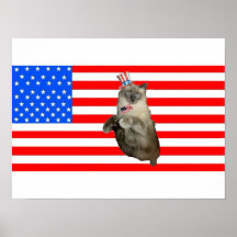 4th of July Cat Print
