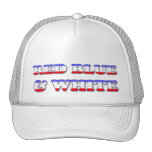 4th of July Hat