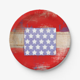 4th of July Paper Plate 7 Inch Paper Plate