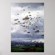 501st Para Infantry Print