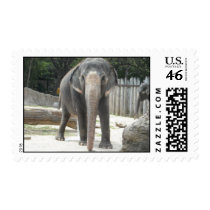 502 POSTAGE STAMP
