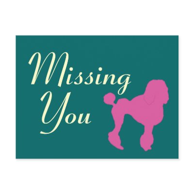 50s Vintage Pink Felt Poodle Post Card by JaZilla