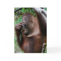 50th birthday card