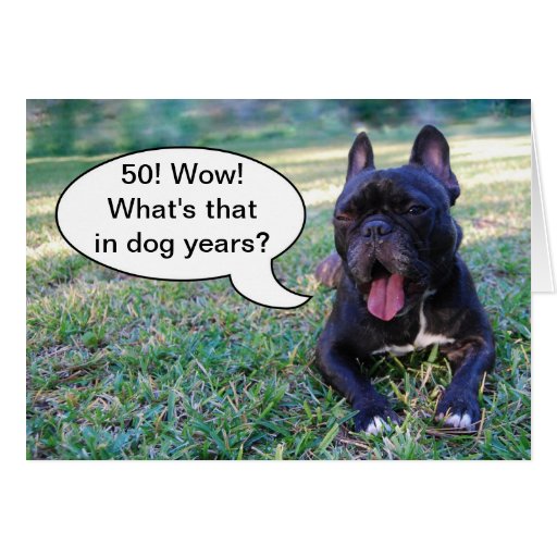 50th Birthday Dog Years French Bulldog Card | Zazzle