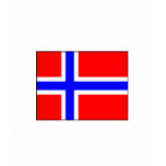 51% Norwegian T-shirts