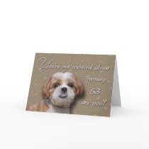 53rd Birthday Dog Cards