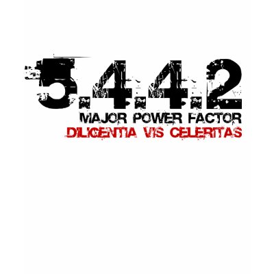 5442 Ladies DVC Front T Shirts by burningsquirrels