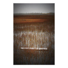5501911 PHOTO ART
