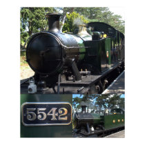 5542 Poster posters