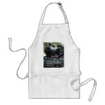 5542 Steam Locomotive aprons