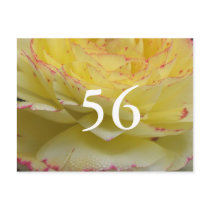 56th Birthday Post Cards