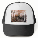 5899, 5899 hats by wwwsikhote 5899, 5899 hats