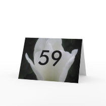 59th Birthday cards by lollypopgirrrl 59th Birthday cards