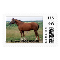 5-88, Rostov 2006 005-88 postage