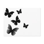 5 Black Butterflies Post Cards