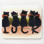 black, cats, pets, kitties, mouse, pad