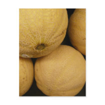 5 Cantelope postcards