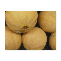 5 Cantelope Post Card
