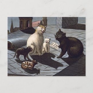 5 Cats with music sheet singing on a roof at night Post Card
