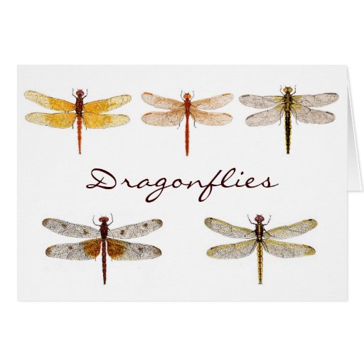 5 Dragonflies.. Greeting Cards