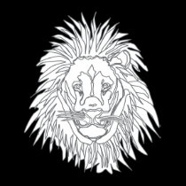 5.-LEO t-shirts