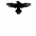 5, Logo Raves cross t-shirts