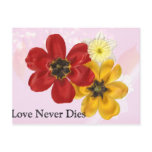 5 Love Never Dies Postcard
