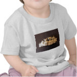 5 maullidos camisetas