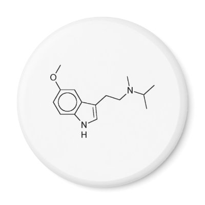 5-MeO-MiPT Fridge Magnet by TheCommitteeTo