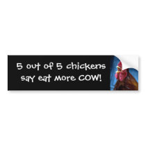 5 out of 5 chickens say.... bumper stickers