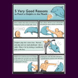 5 Reasons to Punch a Dolphin in the Mouth