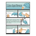 5 Reasons to Punch a Dolphin in the Mouth posters by matthewinman 5 Reasons to Punch a Dolphin in the Mouth posters
