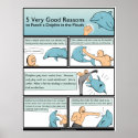 5 Reasons to Punch a Dolphin in the Mouth posters