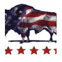 5 starsBuffalo t-shirts